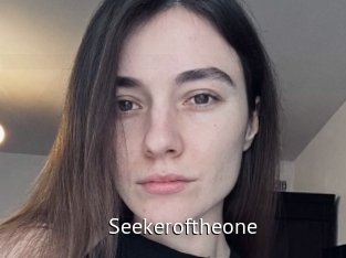 Seekeroftheone