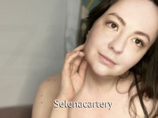 Selenacartery