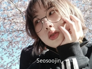 Seosoojin