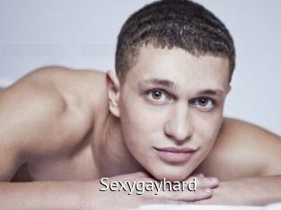 Sexygayhard