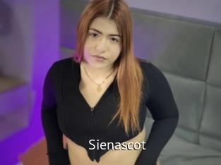 Sienascot