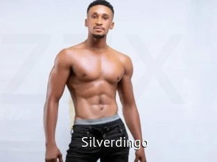 silverdingo Zizi X