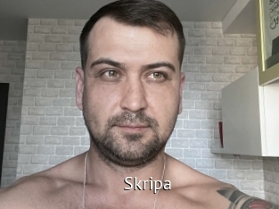 Skripa