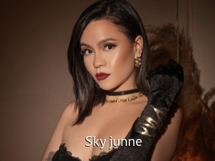 Sky_junne