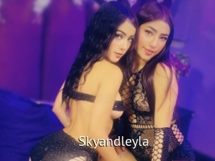 skyandleyla Zizi X
