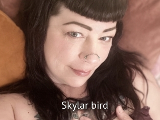 Skylar_bird