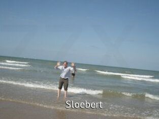 sloebert Zizi X