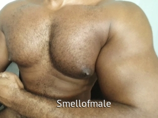 smellofmale Zizi X