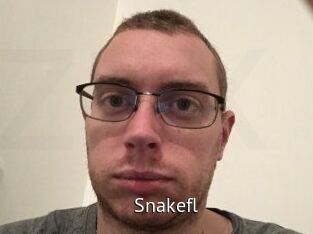 Snakefl