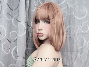 Soary_trans
