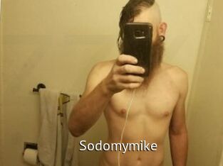 Sodomymike