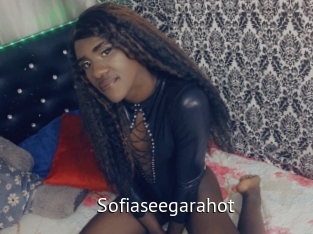 Sofiaseegarahot