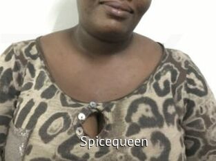 spicequeen Zizi X