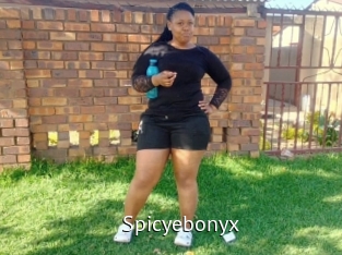 Spicyebonyx
