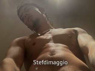 Stefdimaggio