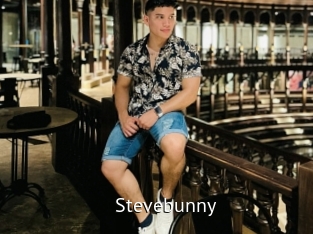 stevebunny Zizi X