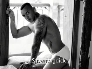 Stivenbigdick