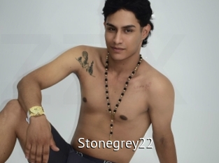 stonegrey22 Zizi X