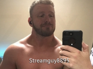 Streamguy8895