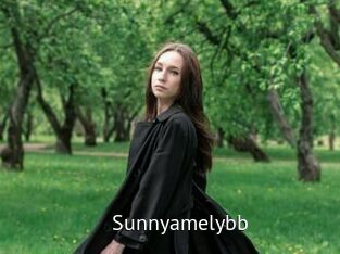 Sunnyamelybb