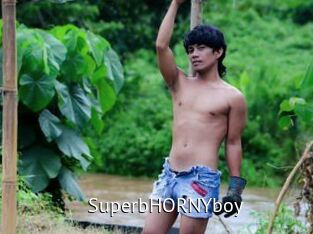SuperbHORNYboy