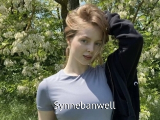 Synnebanwell