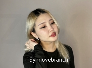 Synnovebranch
