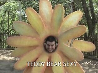 TEDDY_BEAR_SEXY
