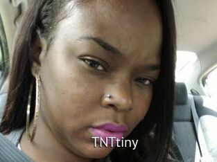 T_N_Ttiny