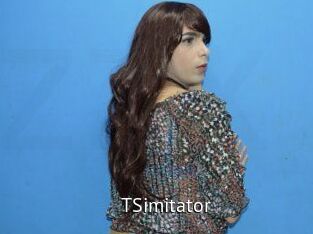 TSimitator
