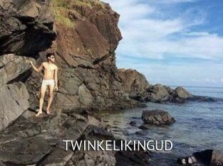 TWINKELIKINGUD
