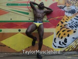 TaylorMusclehard
