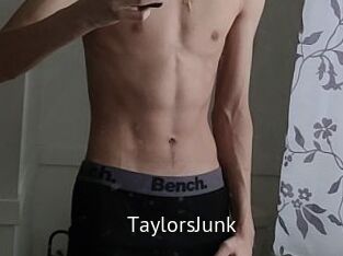 TaylorsJunk