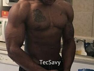 TecSavy