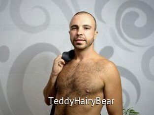TeddyHairyBear