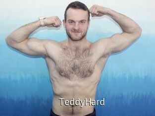 TeddyHard
