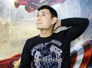 TeddyNoyz