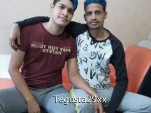 Tegusta29xx Zizi X