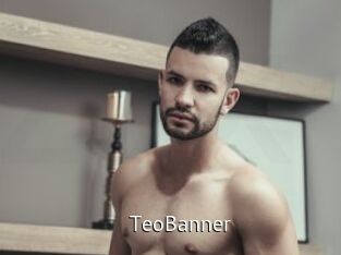 TeoBanner