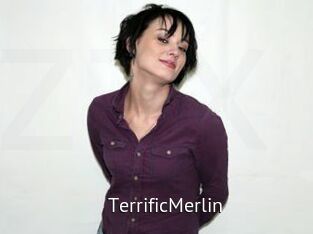 TerrificMerlin