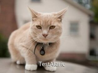 TestAlaric