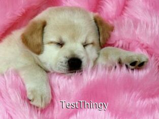 TestThingy