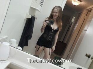 TheCatsMeowprrr