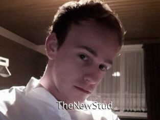 TheNewStud