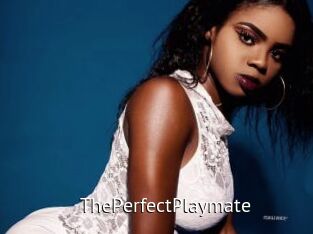 ThePerfectPlaymate