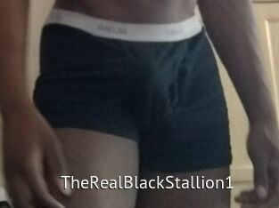 TheRealBlackStallion1