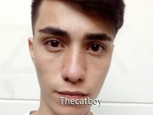 Thecatboy