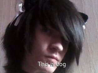 This_is_dog