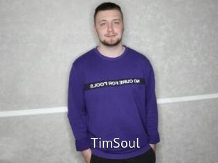 TimSoul