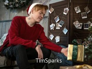 TimSparks